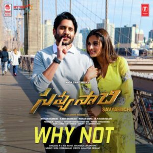 Why Not (From "Savyasachi")